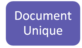 Document Unique