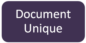 Document Unique